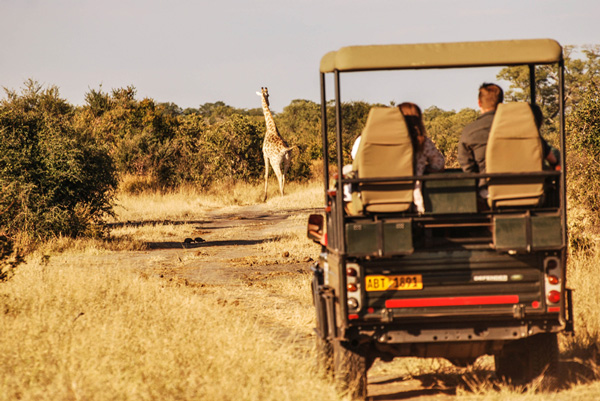 Seasonal Mobile Camp - Hwange National Park - Autograph Safaris